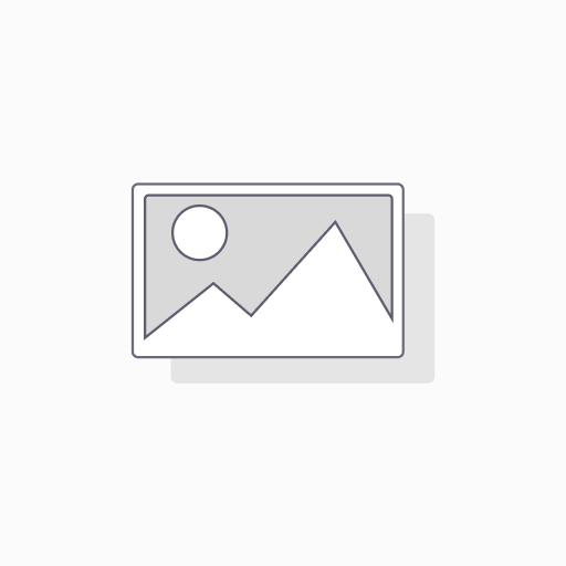 Windows Server License