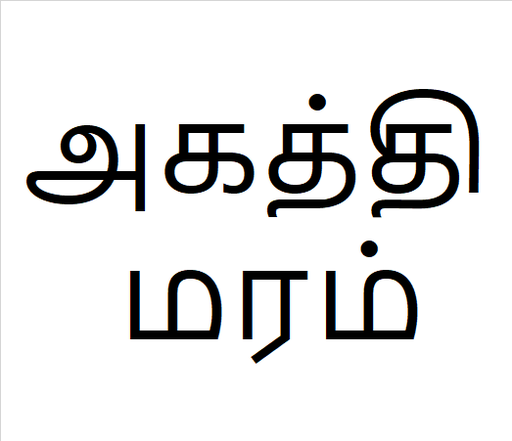[அகத்தி மரம்] Agathi