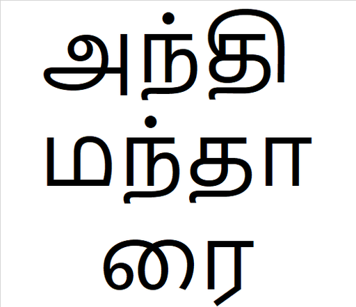 [அந்தி மந்தாரை] Anthi mantharai