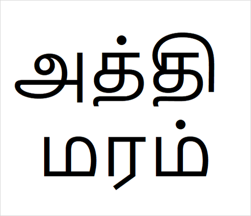 [அத்தி மரம்] Aththi