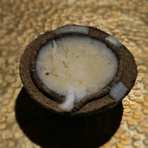 [36108441] Deepa Arpane