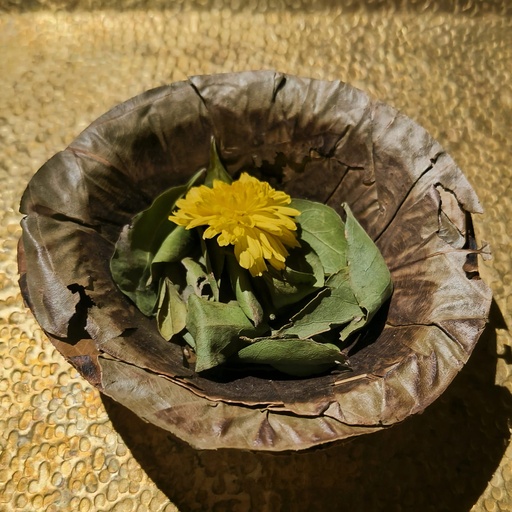 [36122489] Bilvapatre Arpane